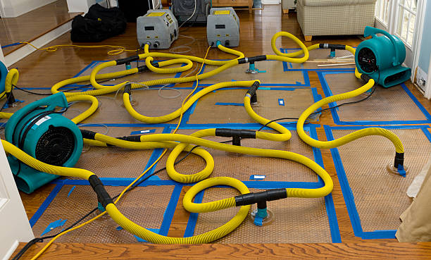 Professional Water Extraction technician working in Woodacre, CA